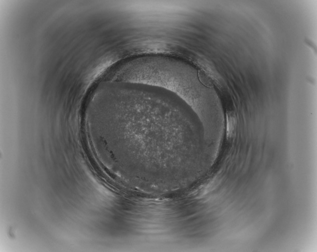 X0000096470627200802071857