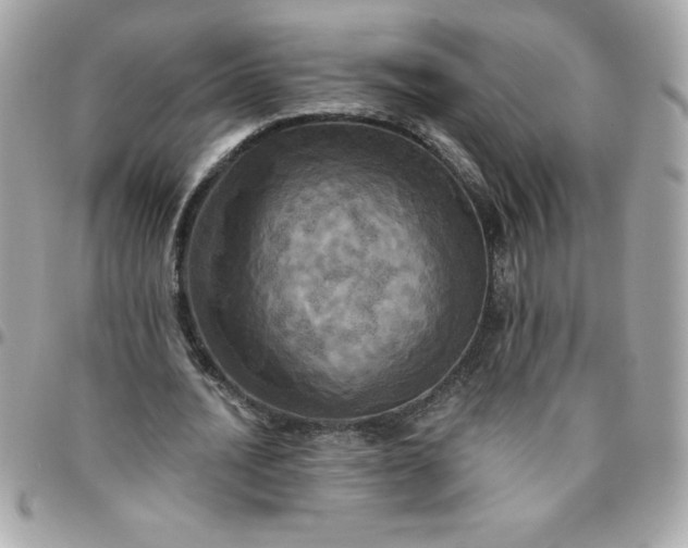 X0000096470628200802071857