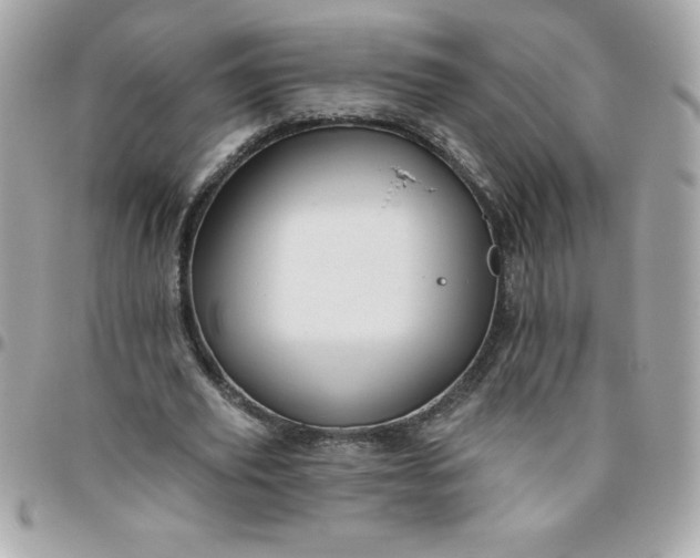 X0000096470629200802071857