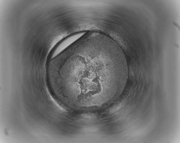 X0000096470630200802071857