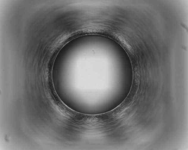 X0000096470631200802071857