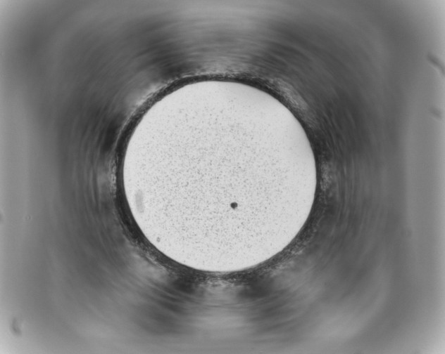 X0000096470632200802071857