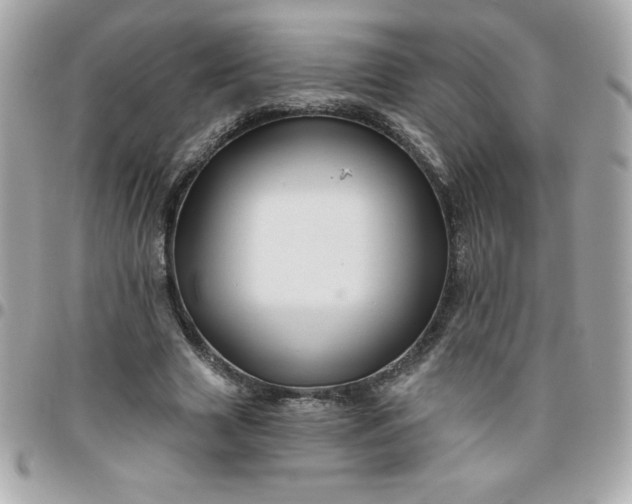 X0000096470633200802071857