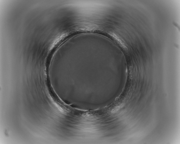 X0000096470634200802071857