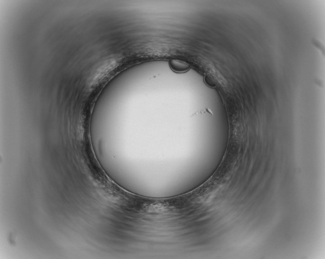 X0000096470635200802071857