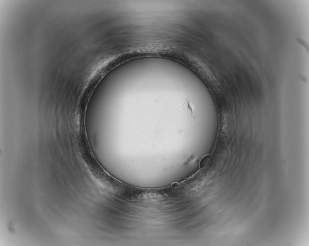 X0000096470636200802071857