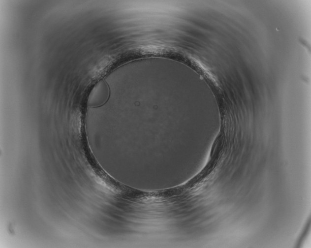 X0000096470637200802071857