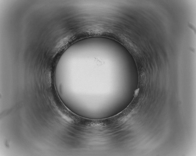 X0000096470638200802071857