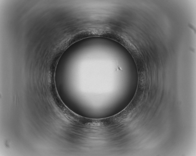 X0000096470639200802071857