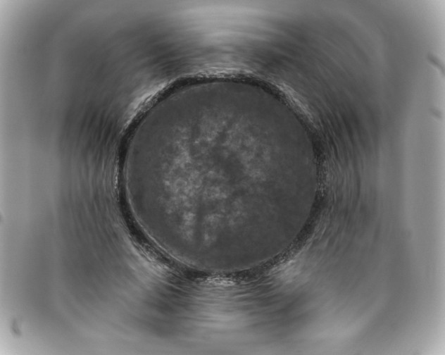 X0000096470640200802071857