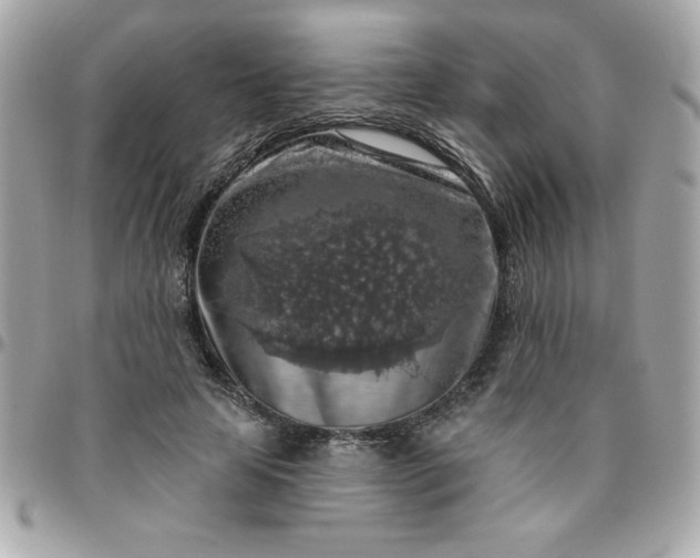 X0000096470641200802071857