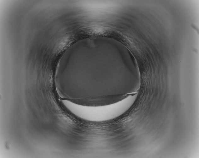 X0000096470642200802071857