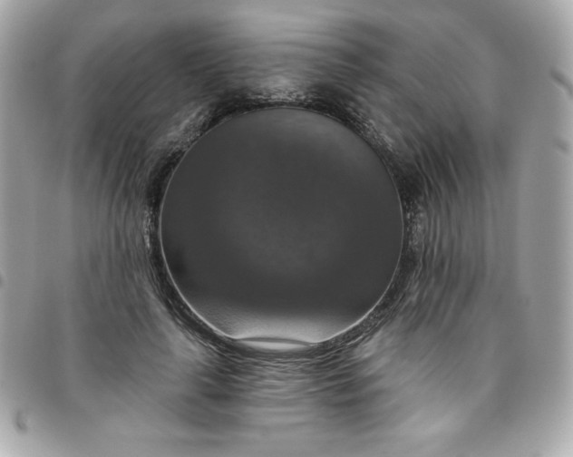 X0000096470643200802071857