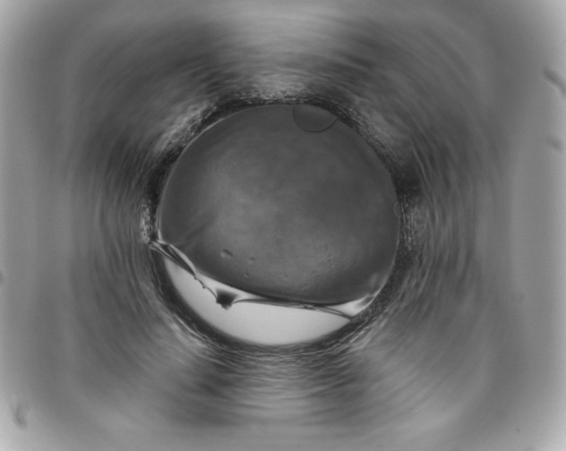 X0000096470644200802071857