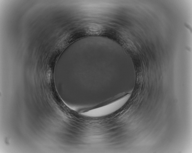 X0000096470647200802071857