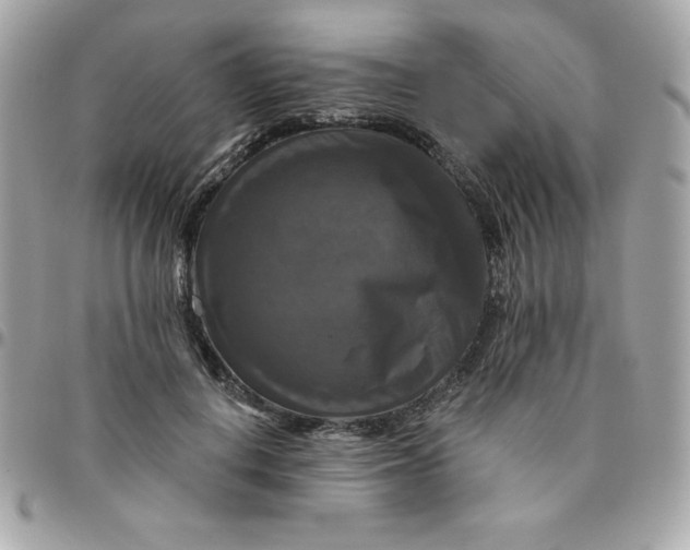 X0000096470648200802071857