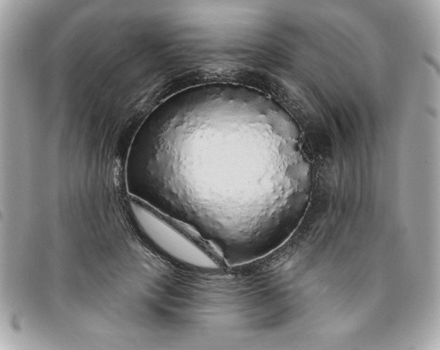 X0000096470649200802071857