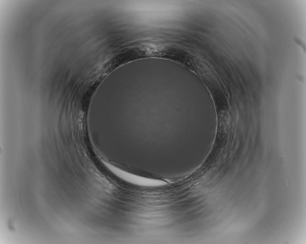 X0000096470650200802071857