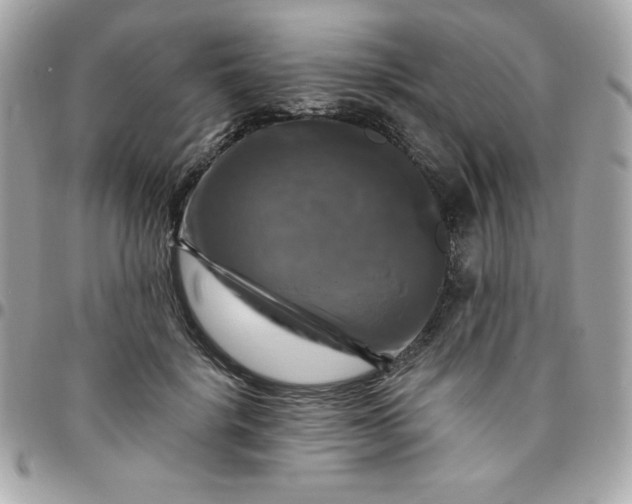 X0000096470652200802071857