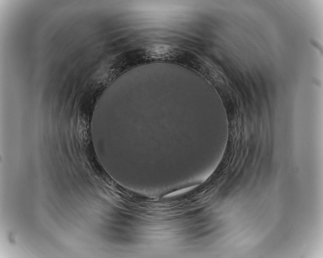 X0000096470653200802071857