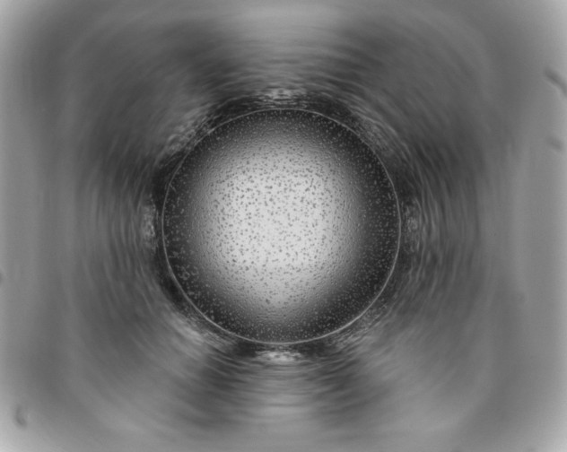 X0000096470654200802071857