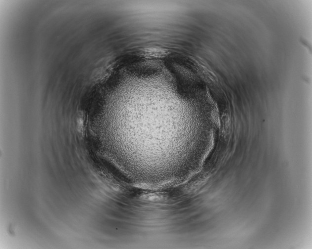 X0000096470655200802071857