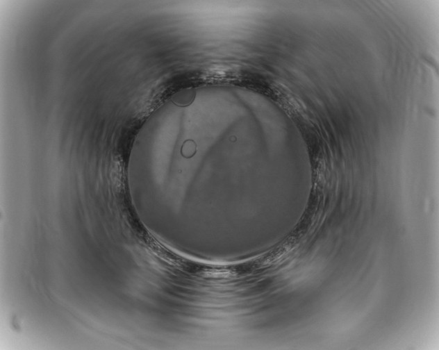 X0000096470659200802071857