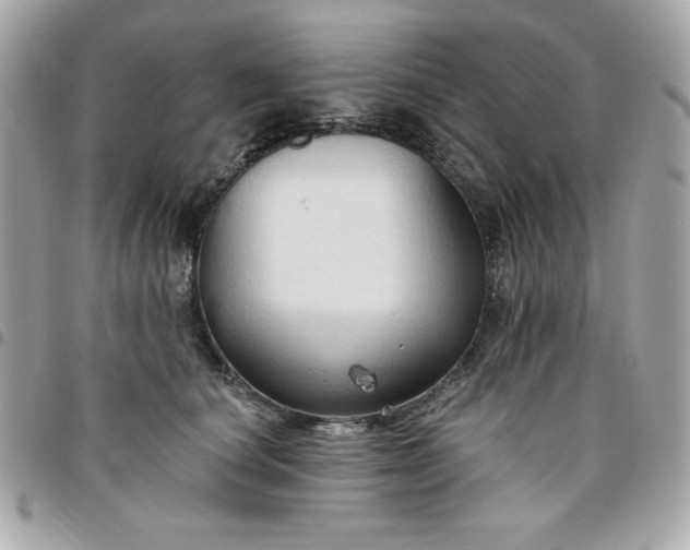 X0000096470660200802071857