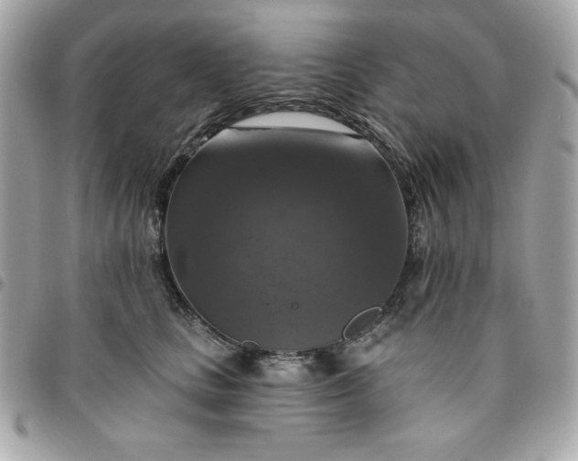 X0000096470661200802071857