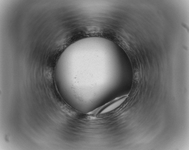 X0000096470662200802071857