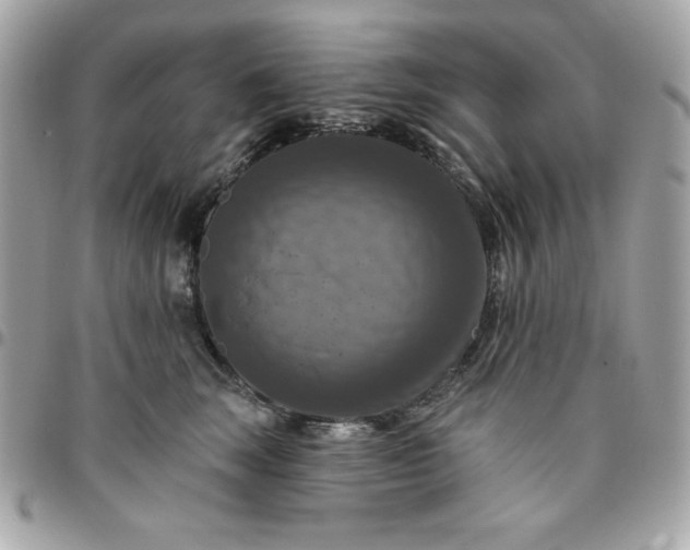 X0000096470663200802071857