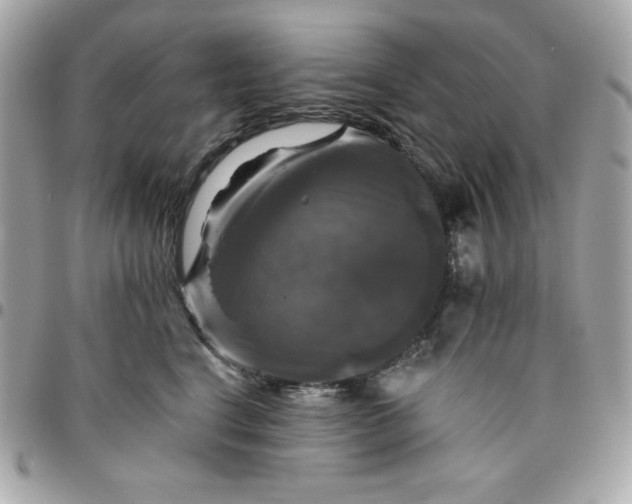 X0000096470664200802071857