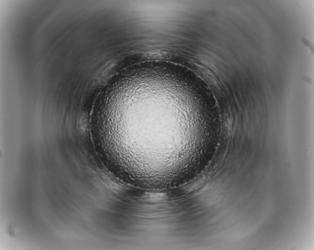 X0000096470665200802071857