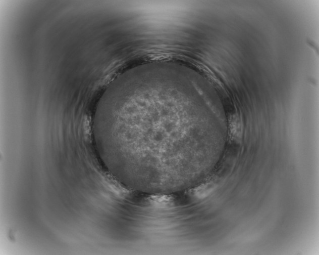 X0000096470667200802071858