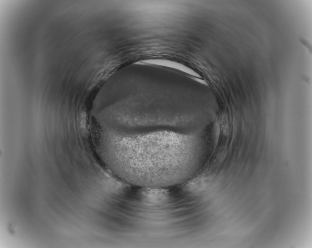 X0000096470670200802071858