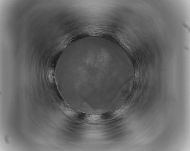 X0000096470671200802071858