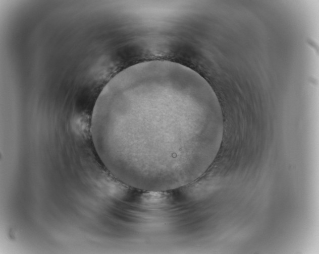 X0000096470672200802071858