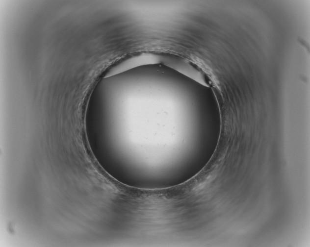 X0000096470673200802071857