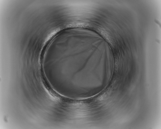 X0000096470674200802071857