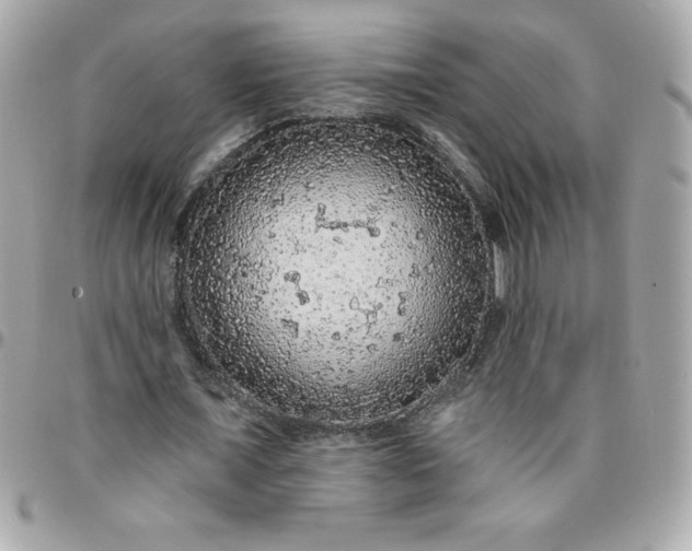 X0000096470675200802071857