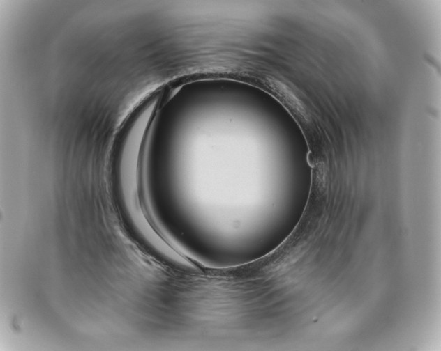 X0000096470676200802071857