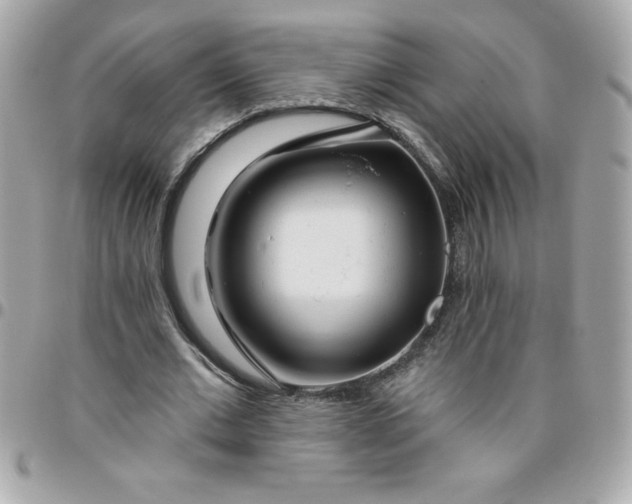 X0000096470677200802071857