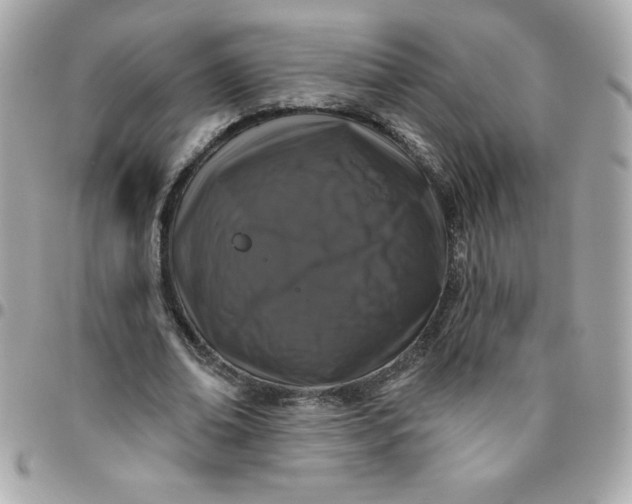 X0000096470678200802071857