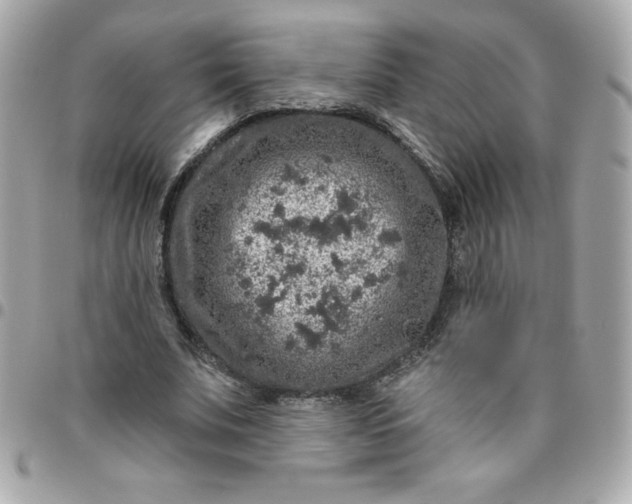 X0000096470679200802071857