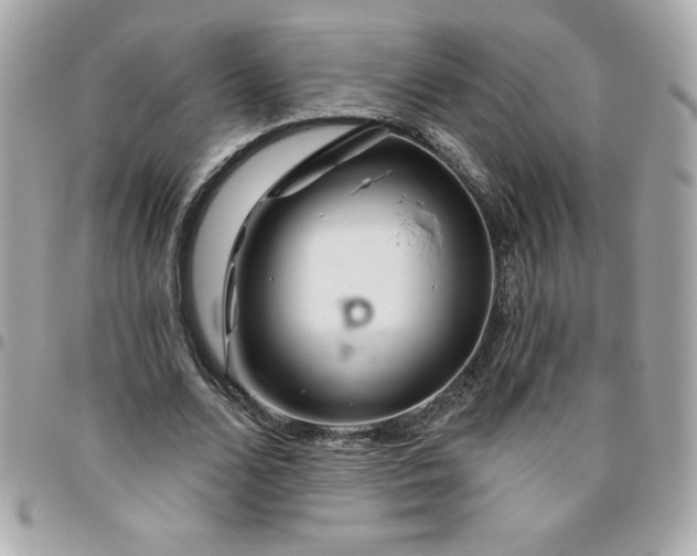 X0000096470680200802071857