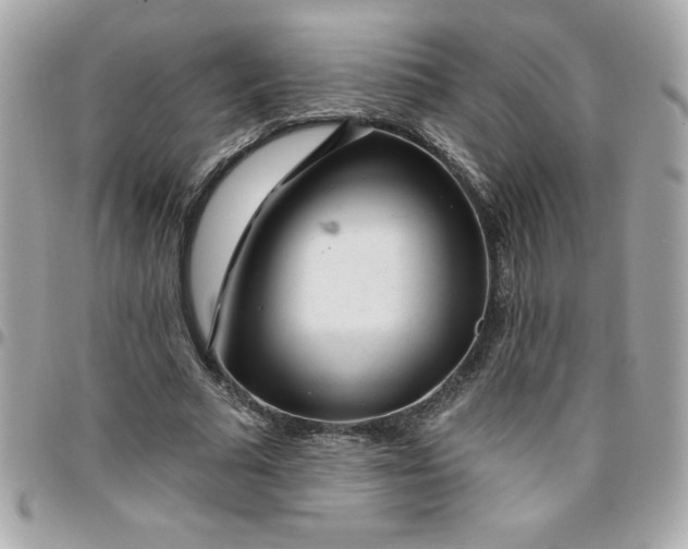 X0000096470681200802071857