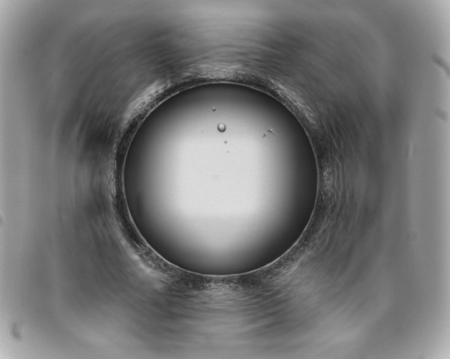 X0000096470682200802071857