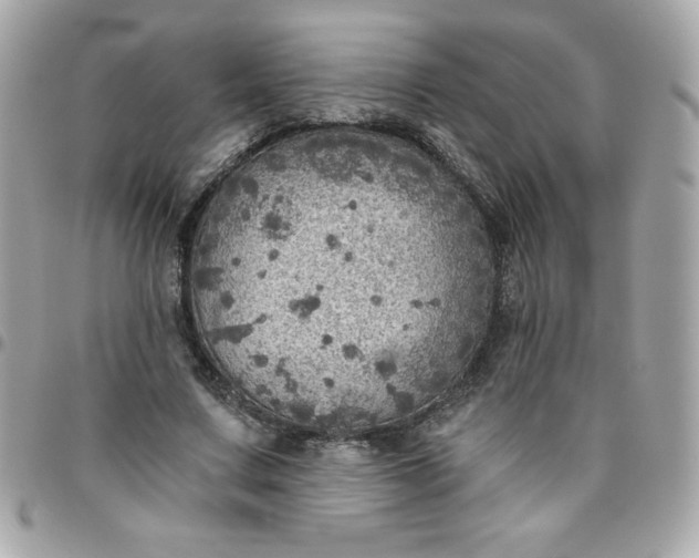 X0000096470683200802071857