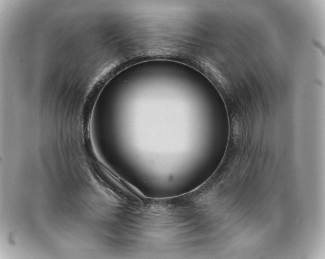 X0000096470684200802071857