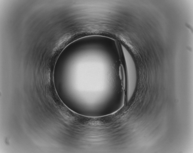 X0000096470685200802071857